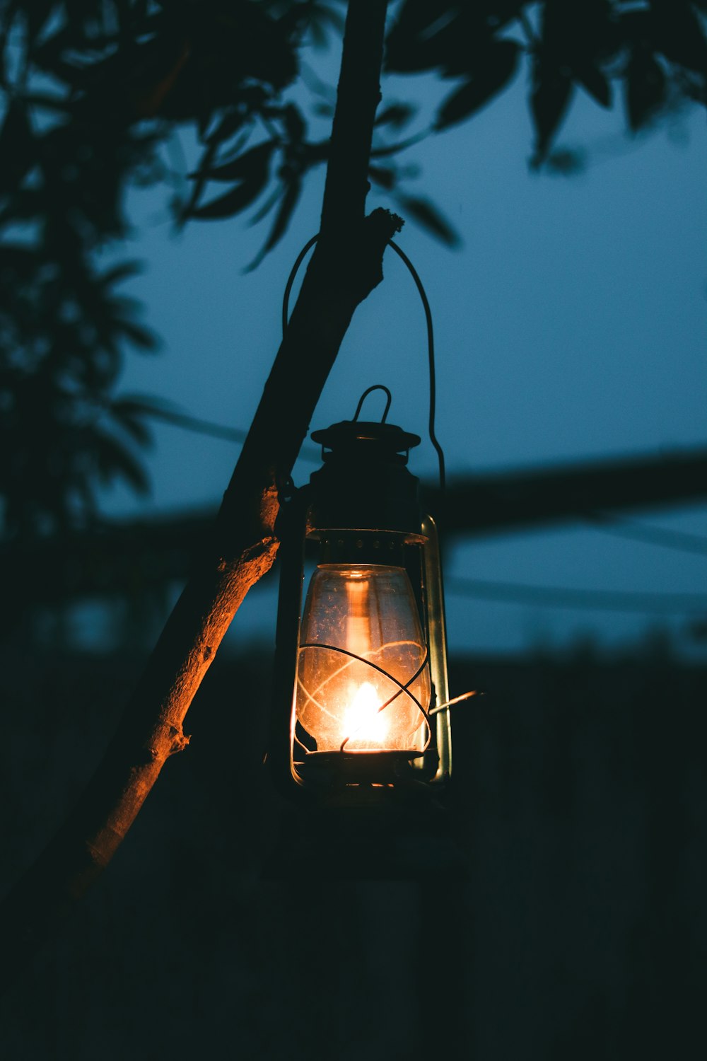 black lantern on tree branch during night time