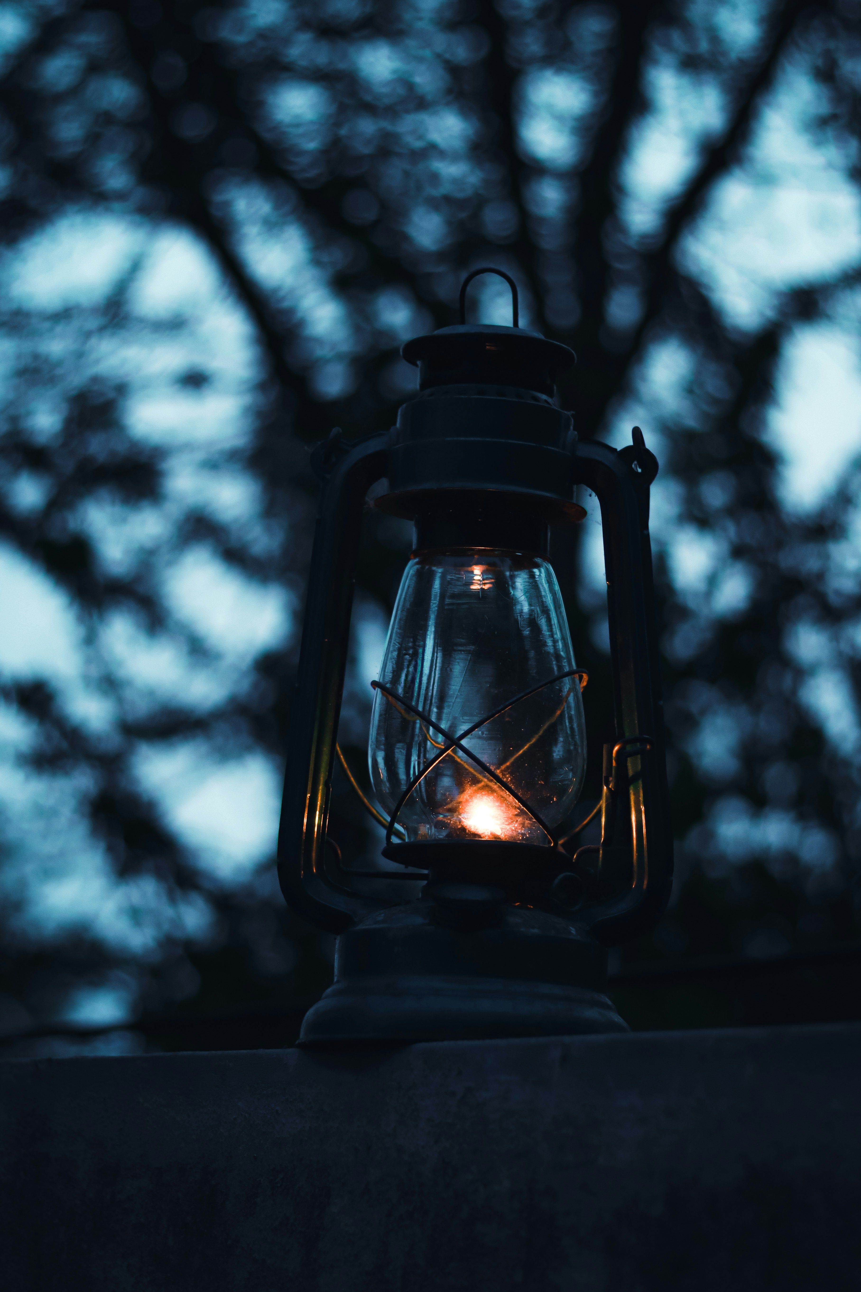 Photo by dhilipantony