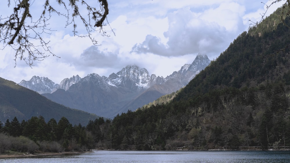 green trees near body of water and mountain during daytime