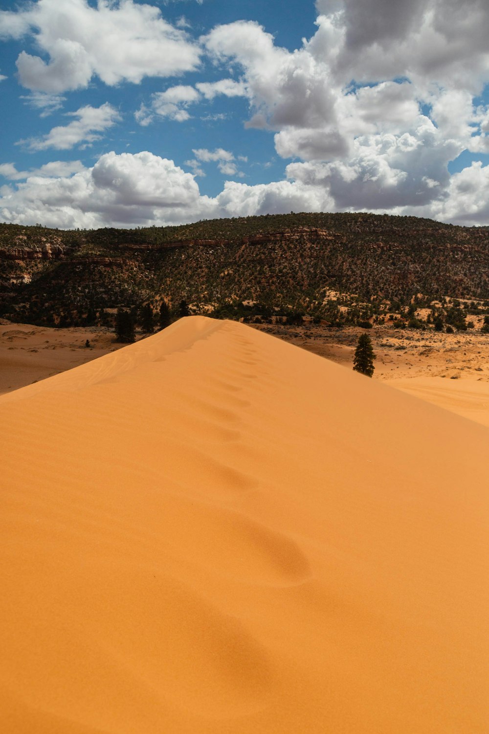 Person in schwarzer Jacke, die tagsüber auf Sand sitzt