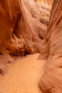 brown rock formation during daytime