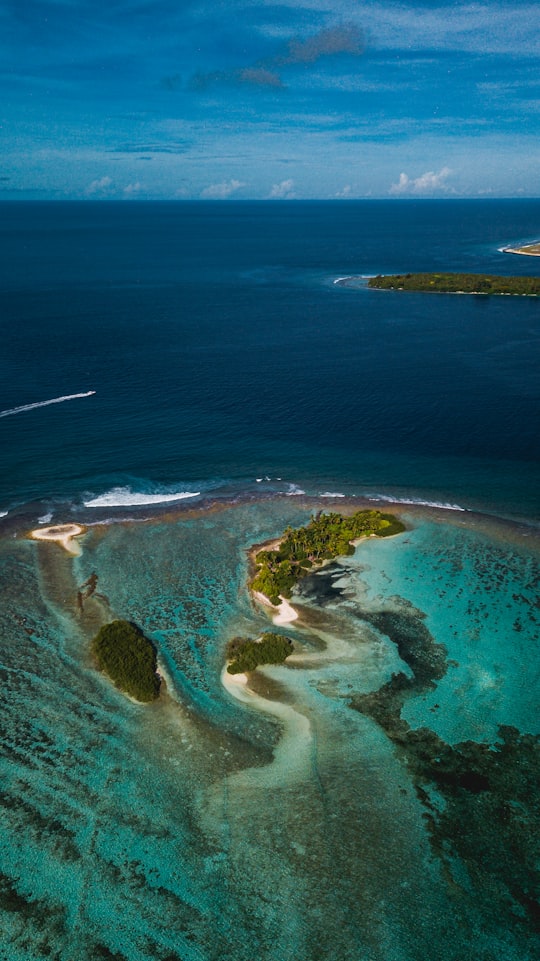 aerial view of green island during daytime in Alifu Dhaalu Atoll Maldives