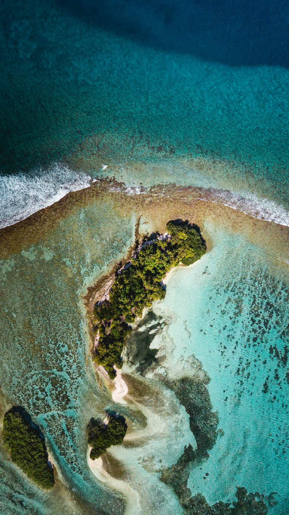 aerial view of green trees on seashore during daytime