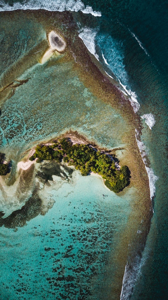 aerial view of green and brown island in Alifu Dhaalu Atoll Maldives