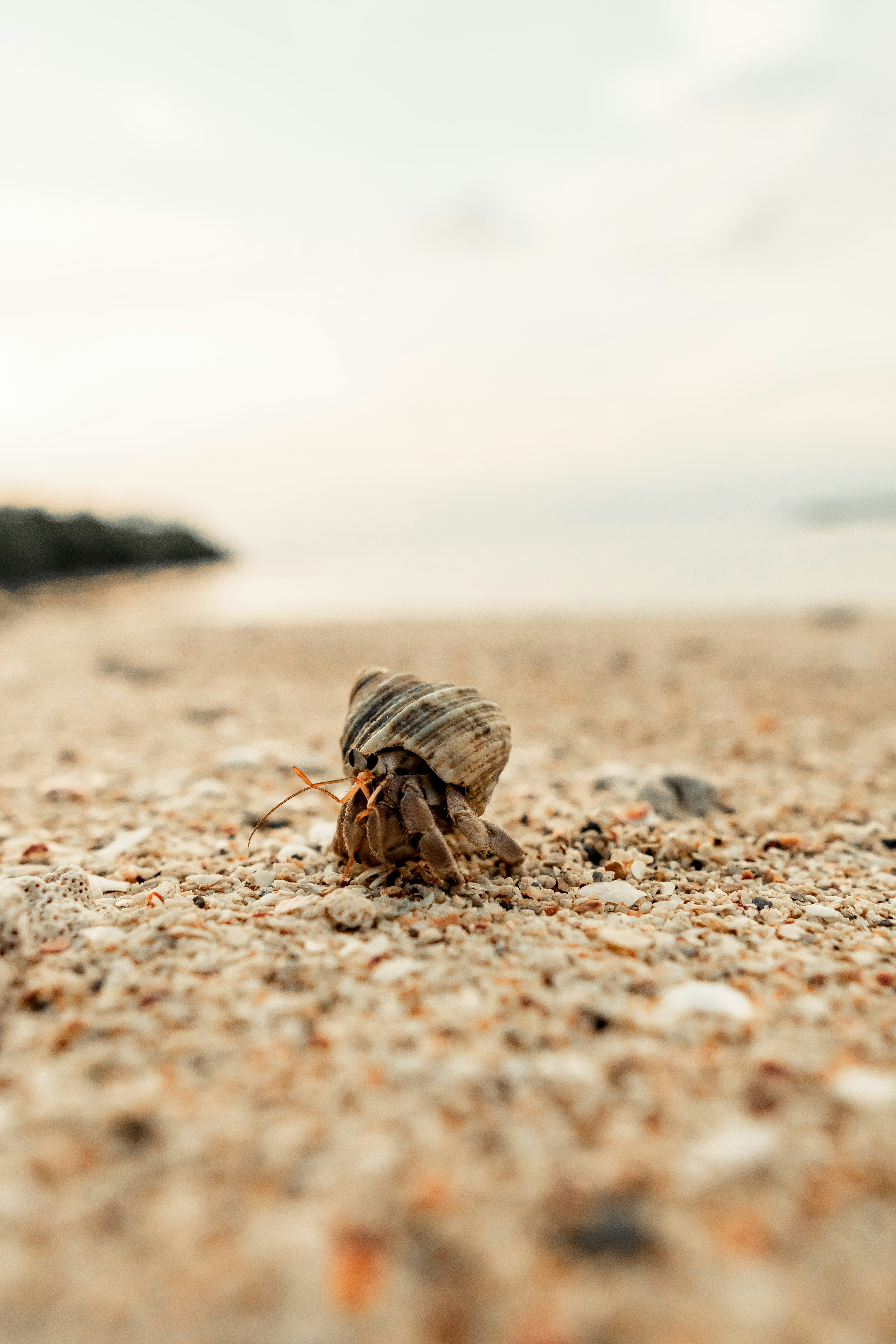 Some People Excel At How Do I Sign Up For Avon And Some Don't - Which One Are You?