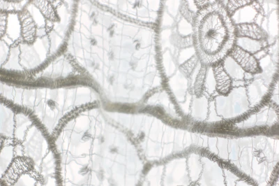 Intricate lace pattern with fine threadwork in soft white.