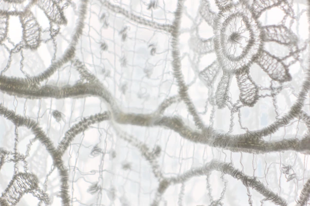 Close-up of delicate lace fabric with intricate floral patterns in soft natural light.