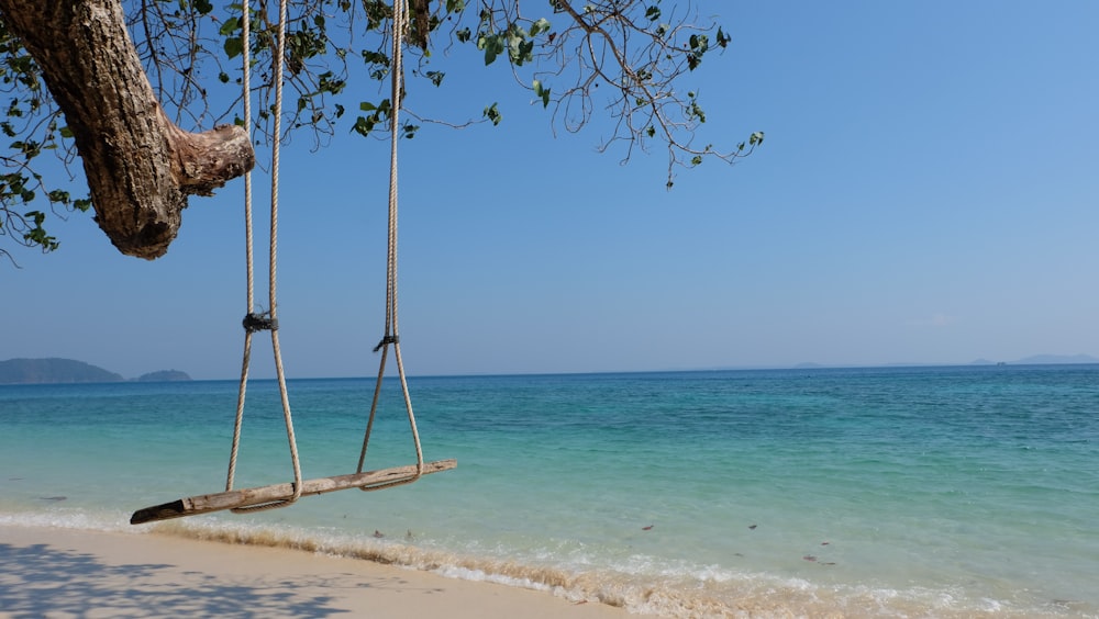 brown wooden swing on beach during daytime
