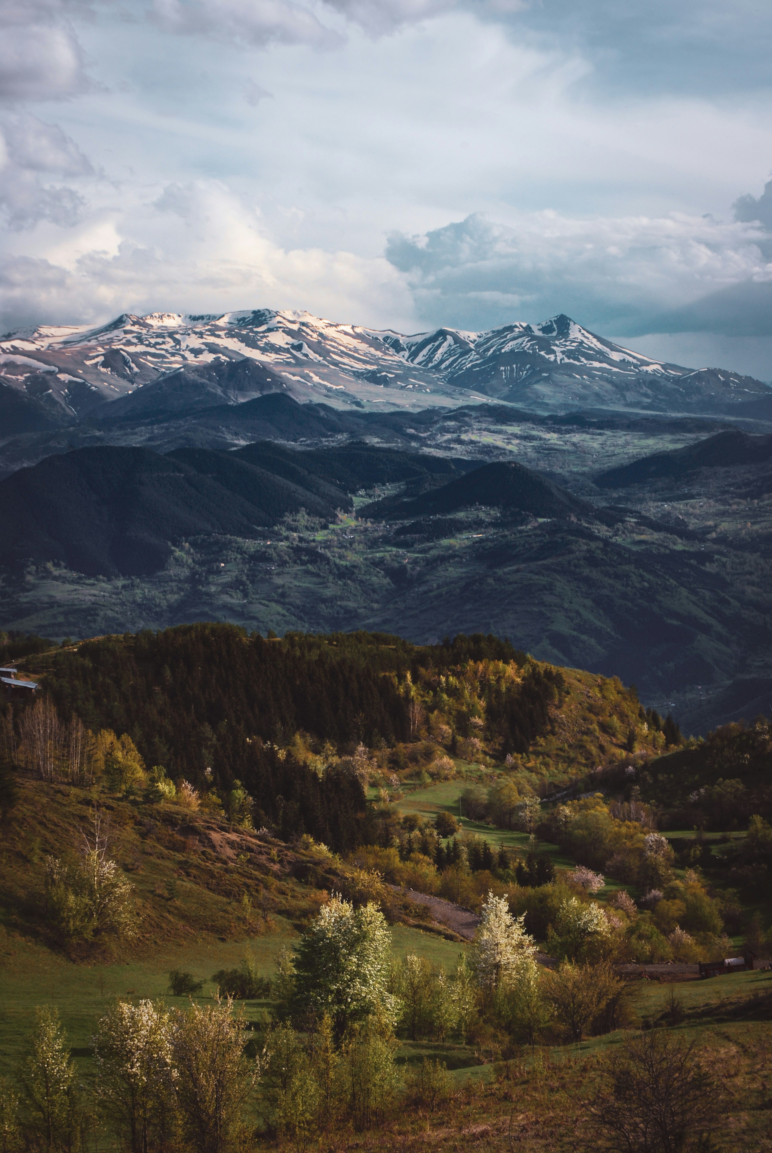 Photo by oznkary