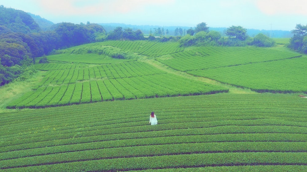 Persona con camisa blanca caminando sobre el campo de hierba verde durante el día
