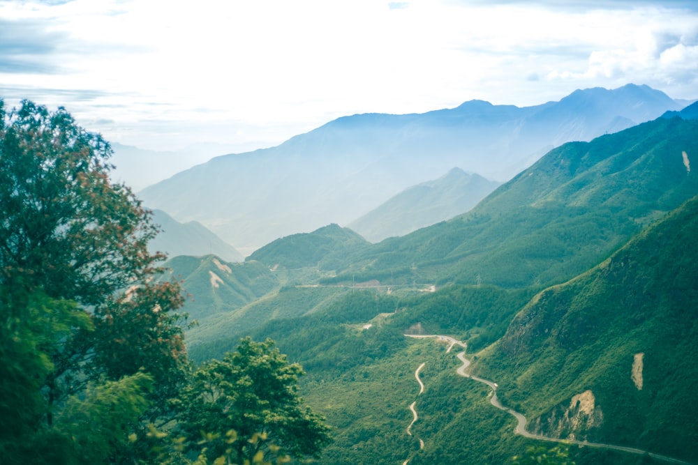 green trees on mountain under white clouds during daytime