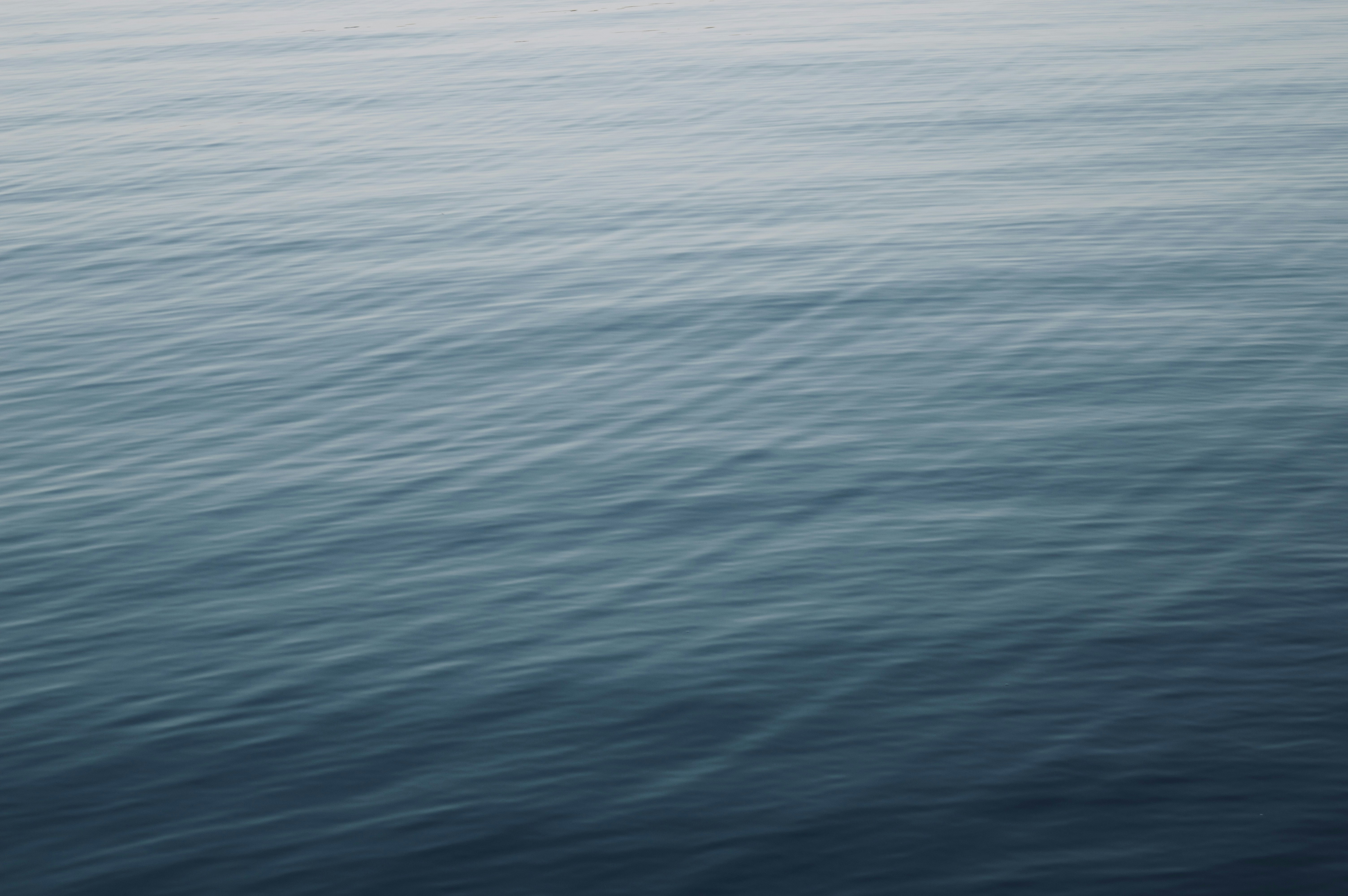 Photo by lalla_lemon