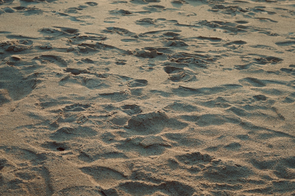 brown sand with water during daytime