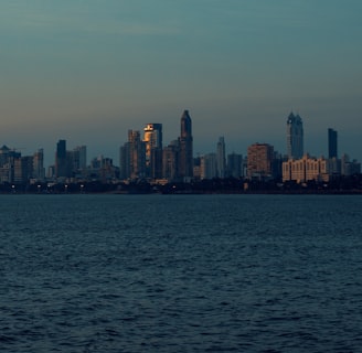 city skyline across body of water during daytime