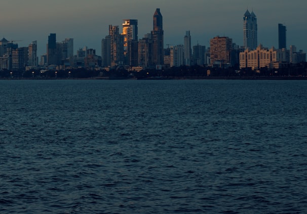 city skyline across body of water during daytime