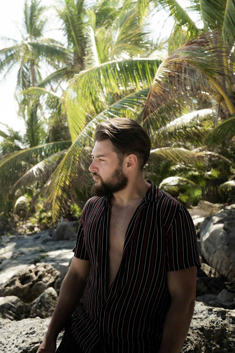 woman in black and white stripe shirt standing near green palm tree during daytime