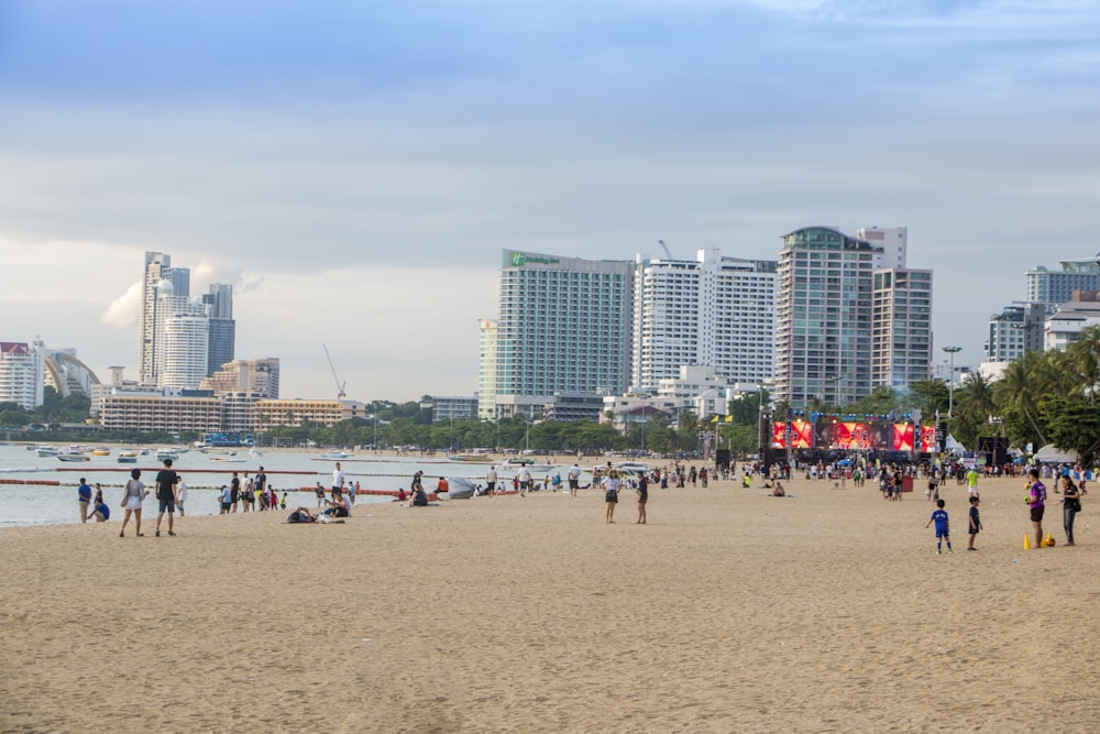 people on beach during daytime