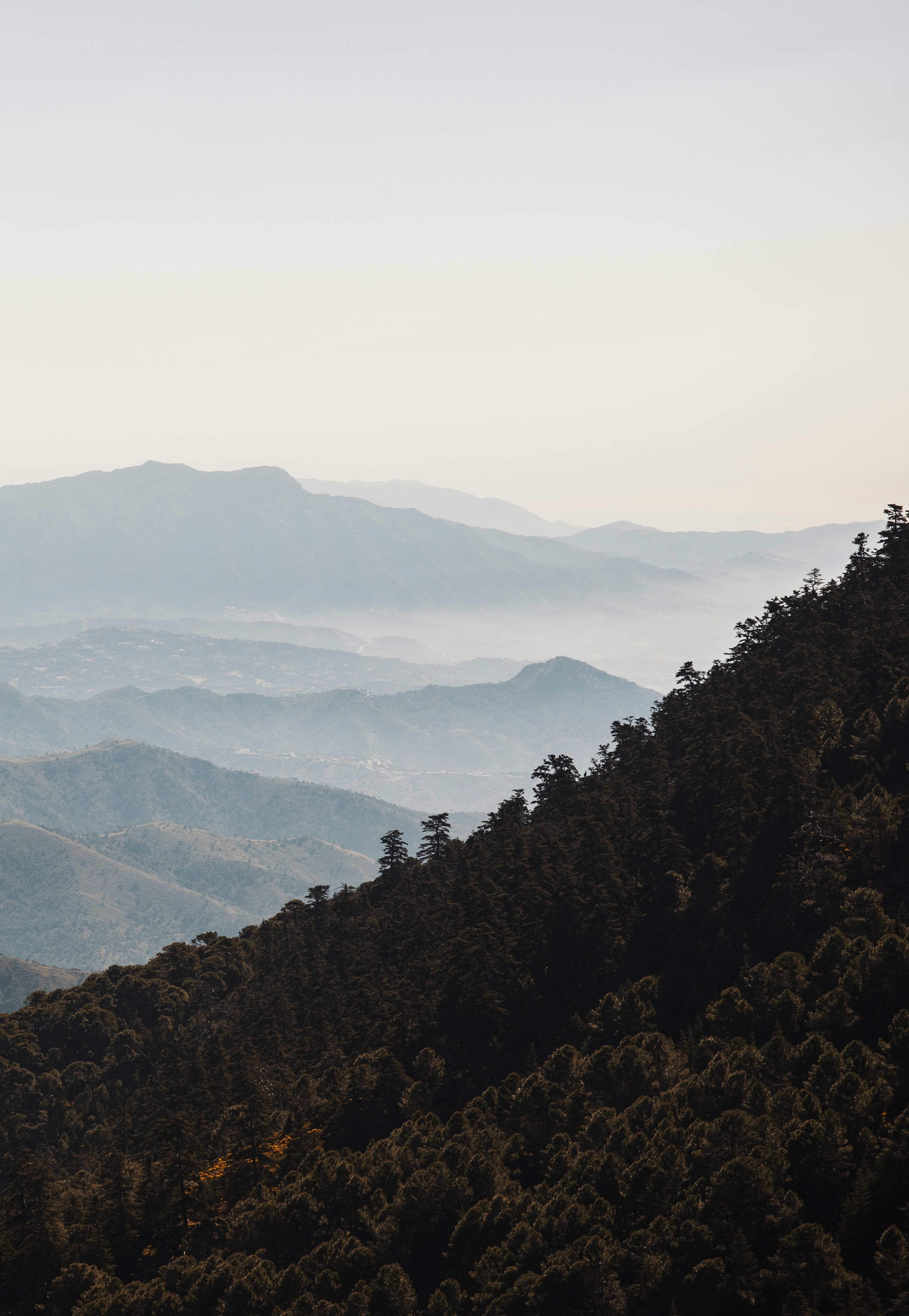 Photo by victor_vector