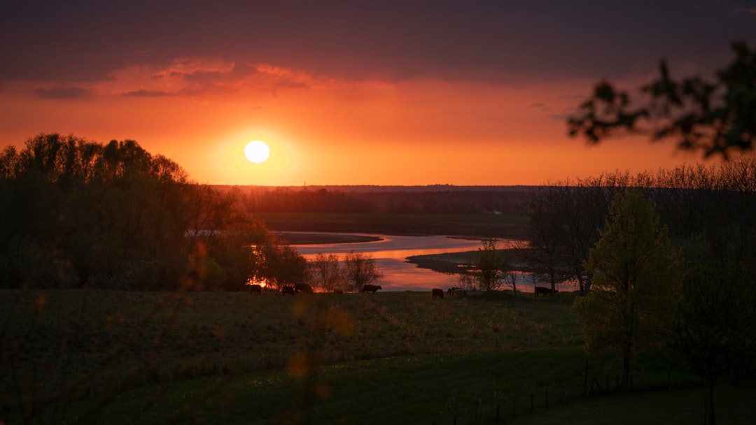 Afbeelding van Bunde