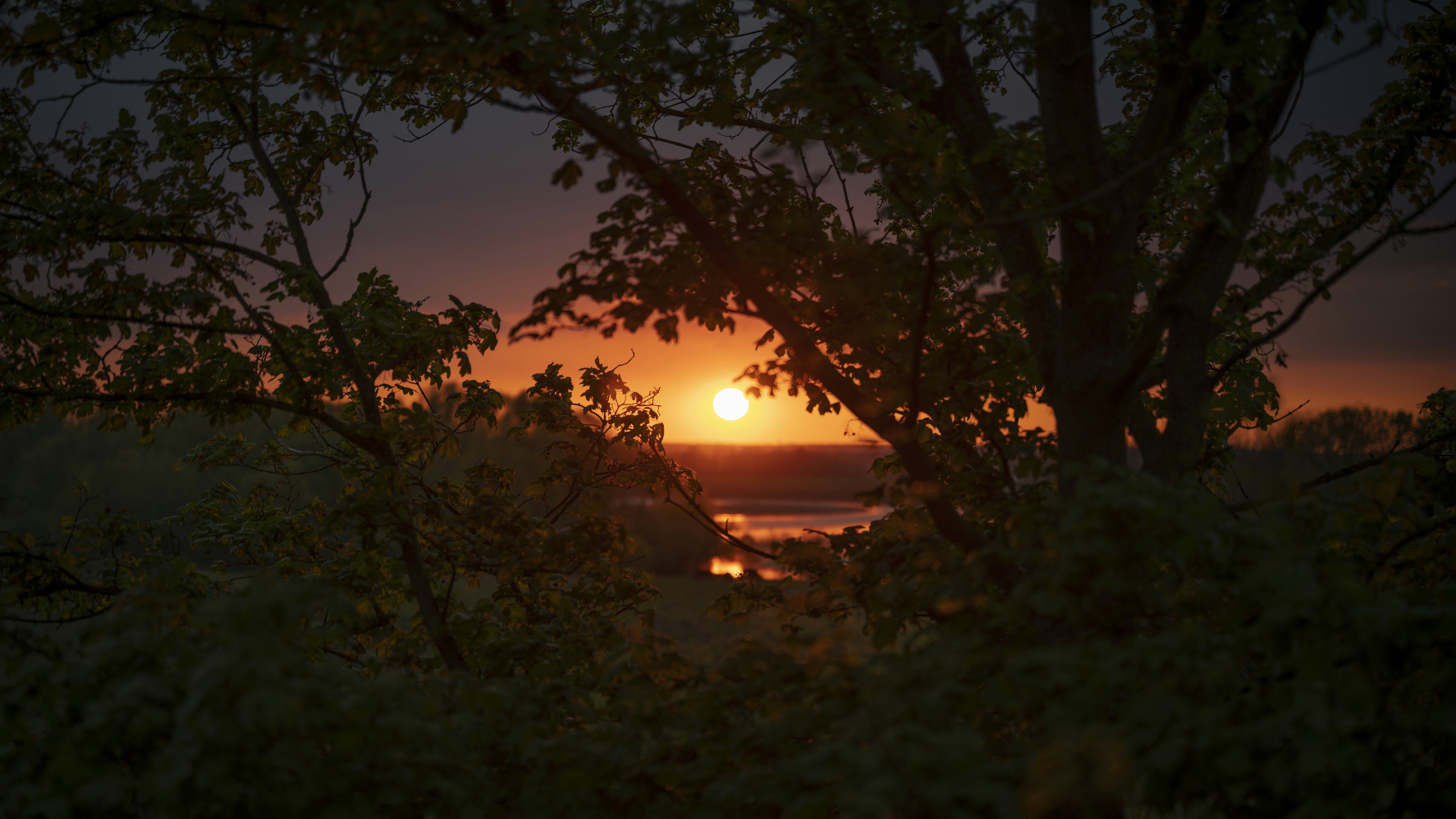 Afbeelding van Bunde