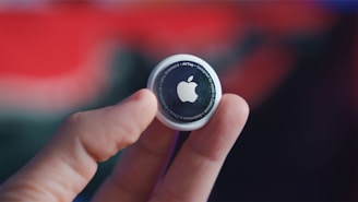 person holding black and white round plastic