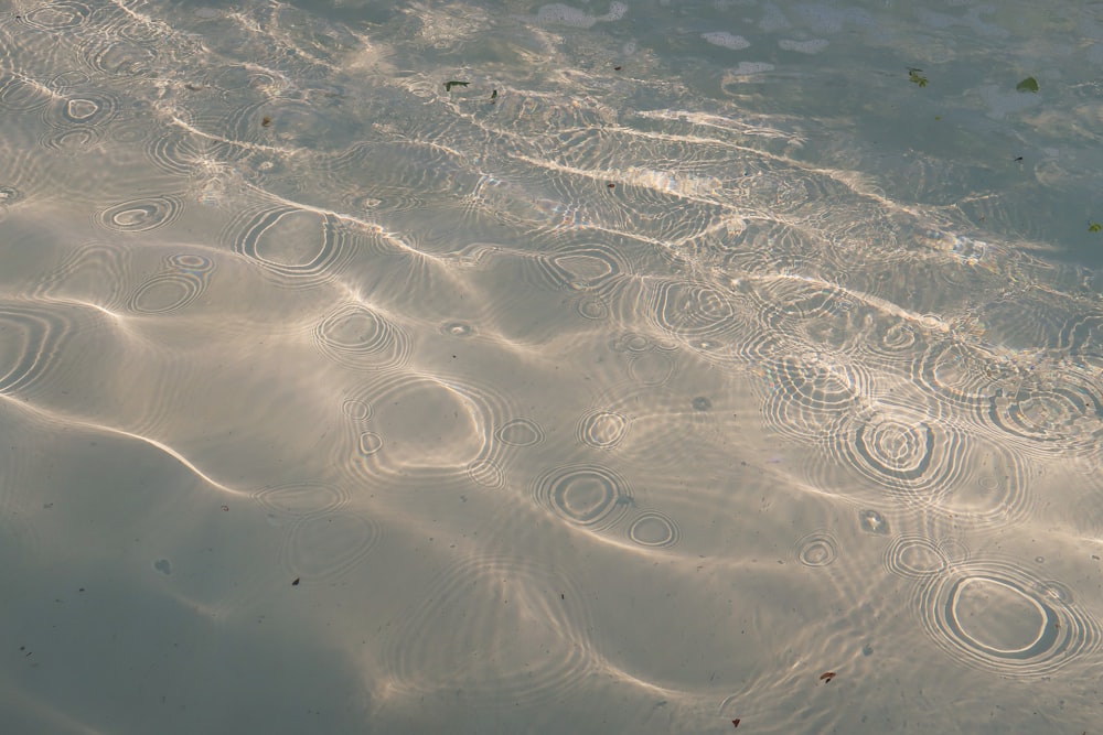 body of water during daytime