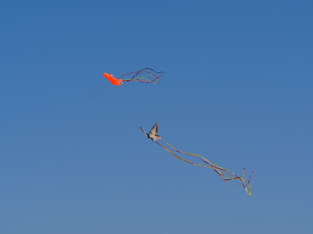 brown bird flying under blue sky during daytime