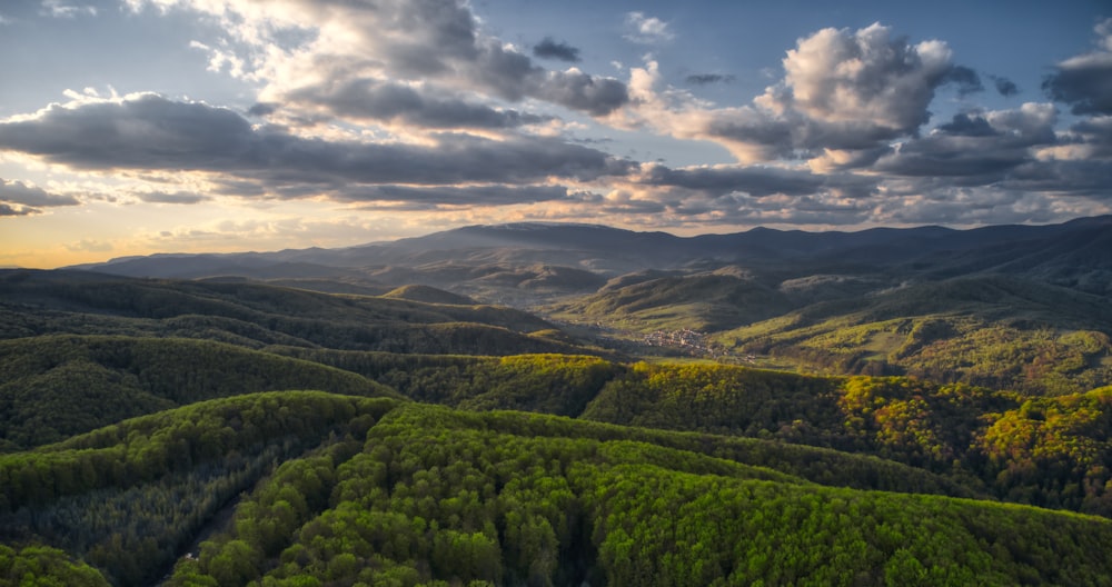 green trees on mountain under white clouds during daytime