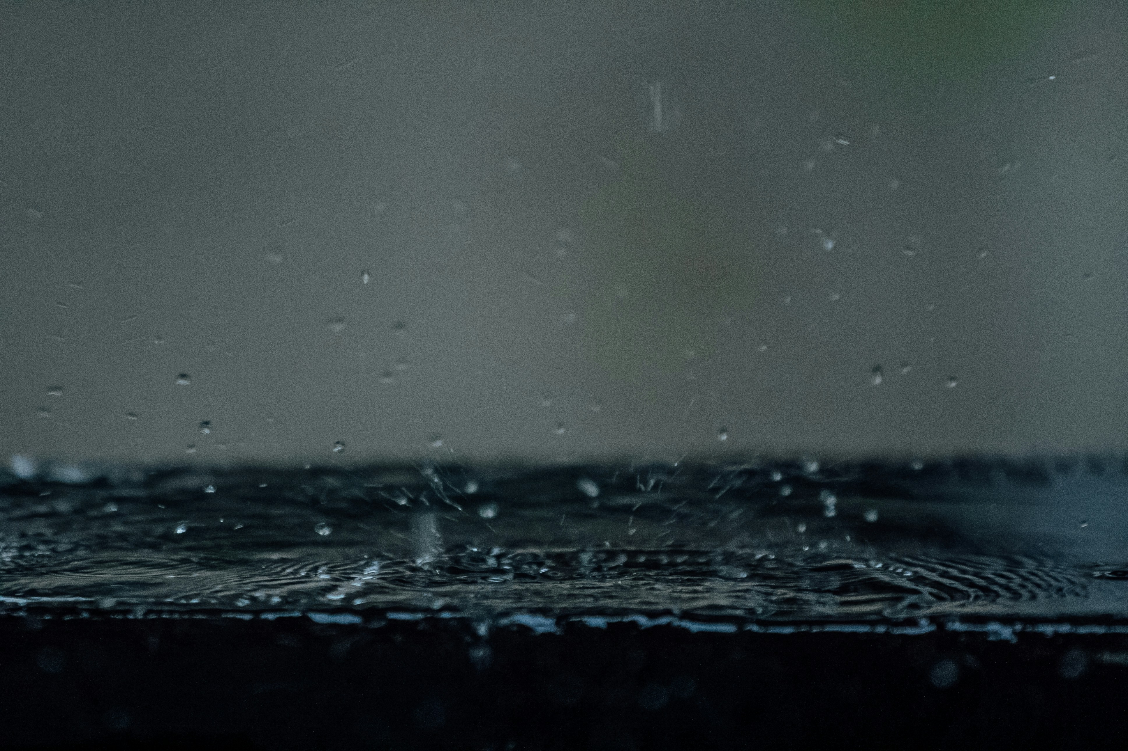 நலமுள்ள நட்பு - Tamil Poem (தமிழ் கவிதை) by ராஜி