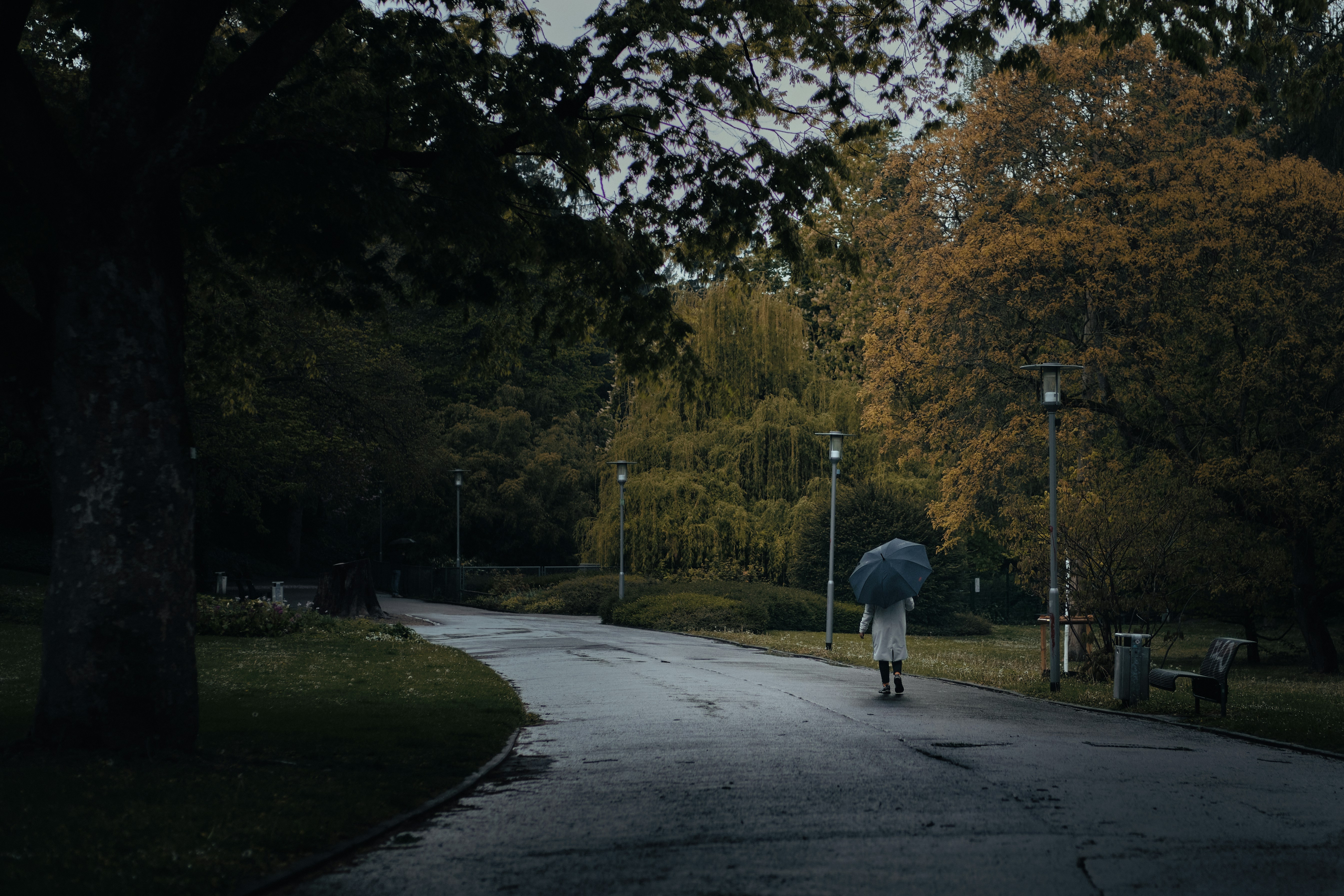 Photo by kevinmueller