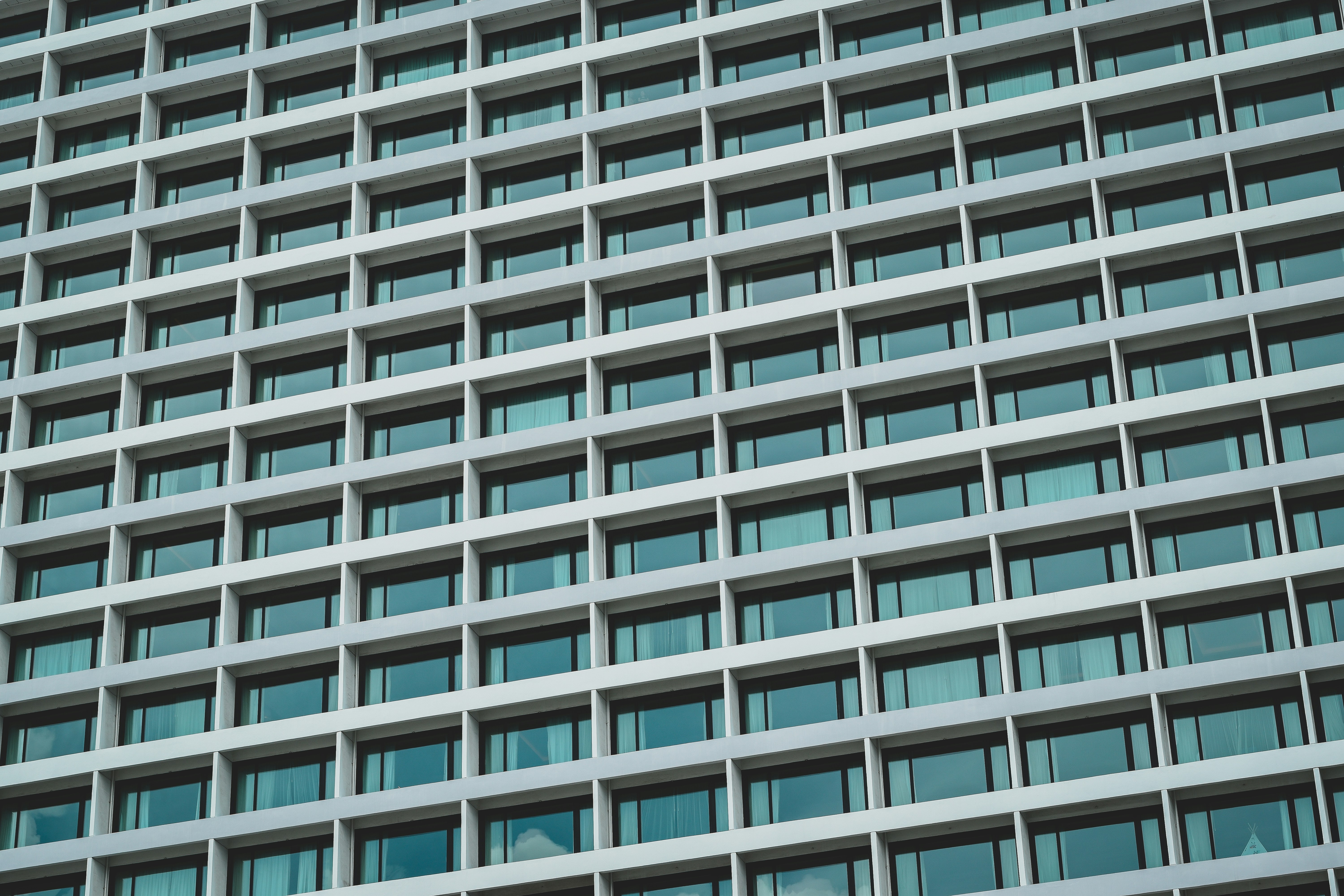 Photo by theregularjo_photos