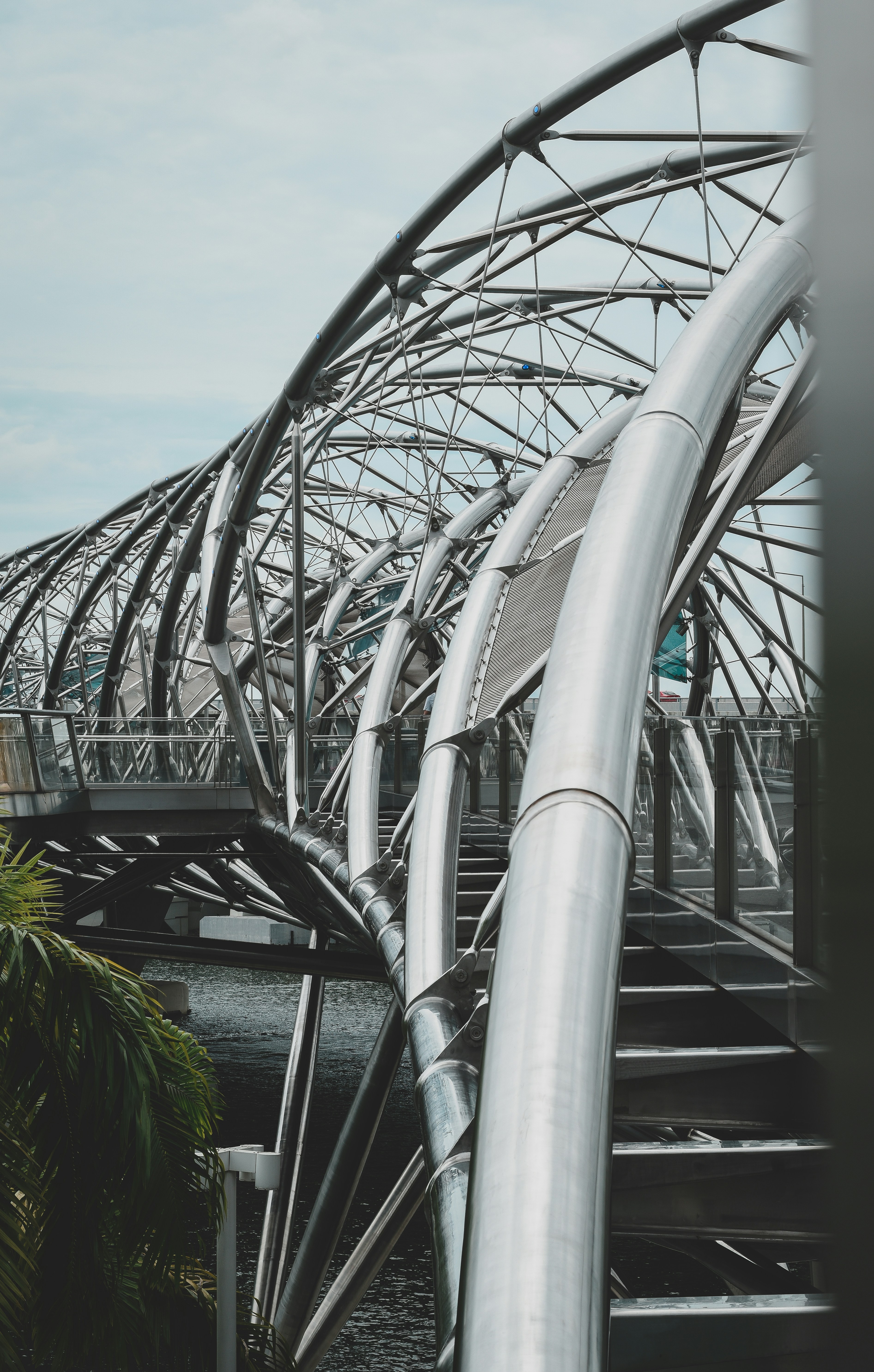 green plants on gray metal frame