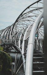 green plants on gray metal frame