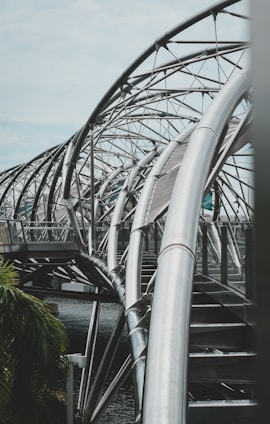 green plants on gray metal frame