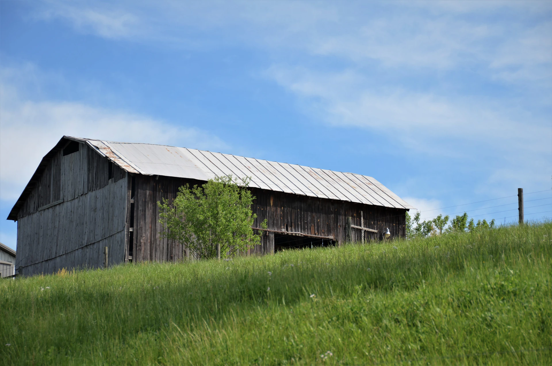 A modern barn nestled among fresh green grass under a clear blue sky.