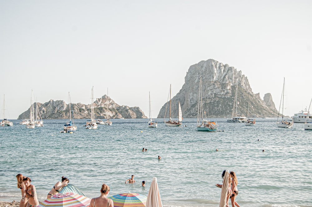 people on beach during daytime