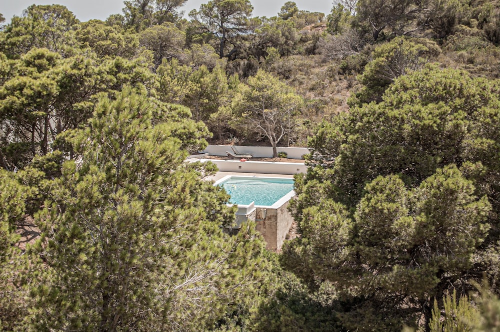 green trees near swimming pool during daytime