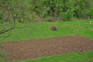 A lush, green landscape featuring a field in the foreground being tilled, while a red tractor continues plowing. The scene is surrounded by dense woods with various shades of green foliage. The ground is mostly made up of turned soil and patches of grass, creating a contrast between the earthy tones and the vibrant greens.