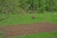 A lush, green landscape featuring a field in the foreground being tilled, while a red tractor continues plowing. The scene is surrounded by dense woods with various shades of green foliage. The ground is mostly made up of turned soil and patches of grass, creating a contrast between the earthy tones and the vibrant greens.