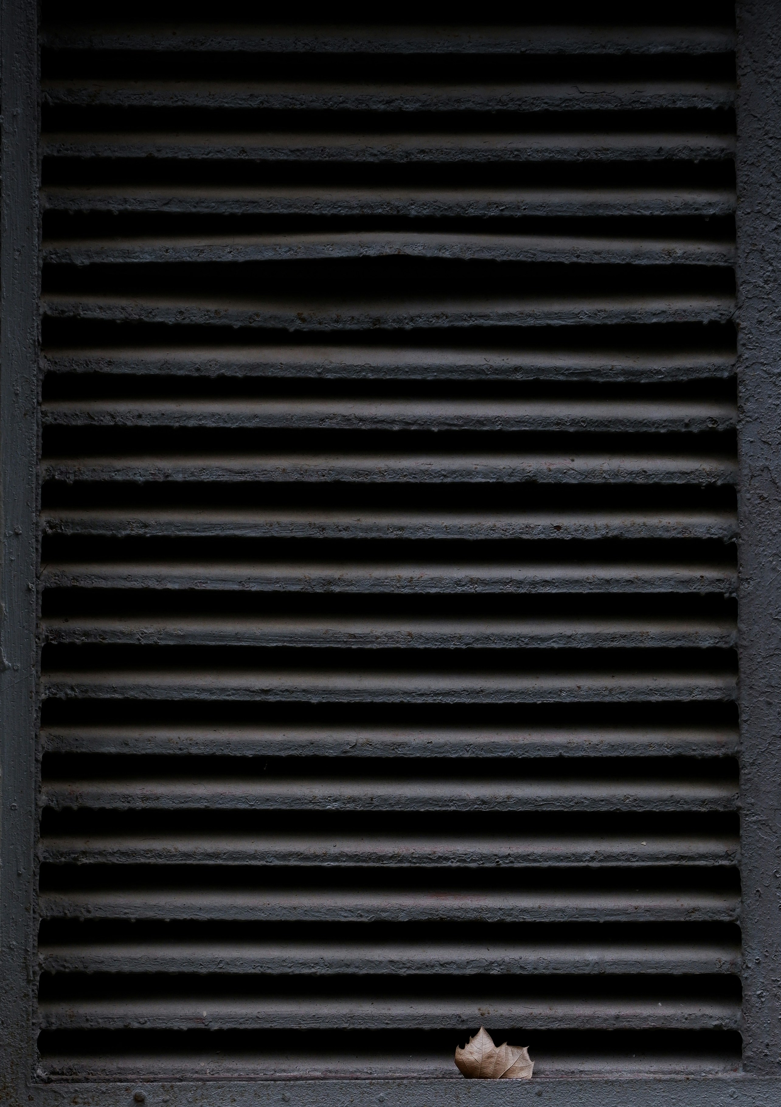 Cadre en bois noir en photographie en gros plan