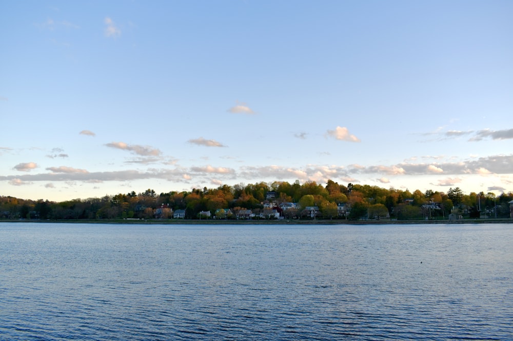 green trees near body of water under blue sky during daytime