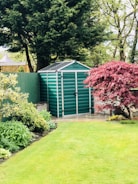 A well-manicured garden with a green metal storage shed in the background. The area is surrounded by lush trees and various plants, including a prominent red-leaved tree on the right.