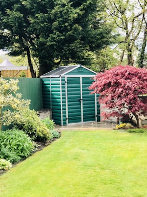 A well-manicured garden with a green metal storage shed in the background. The area is surrounded by lush trees and various plants, including a prominent red-leaved tree on the right.