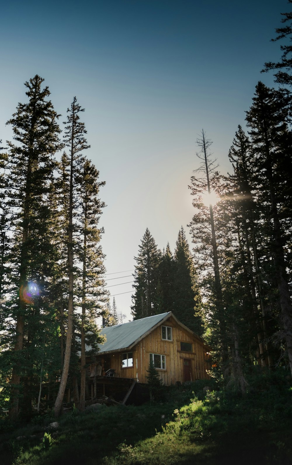 Casa de madera marrón en medio del bosque durante el día