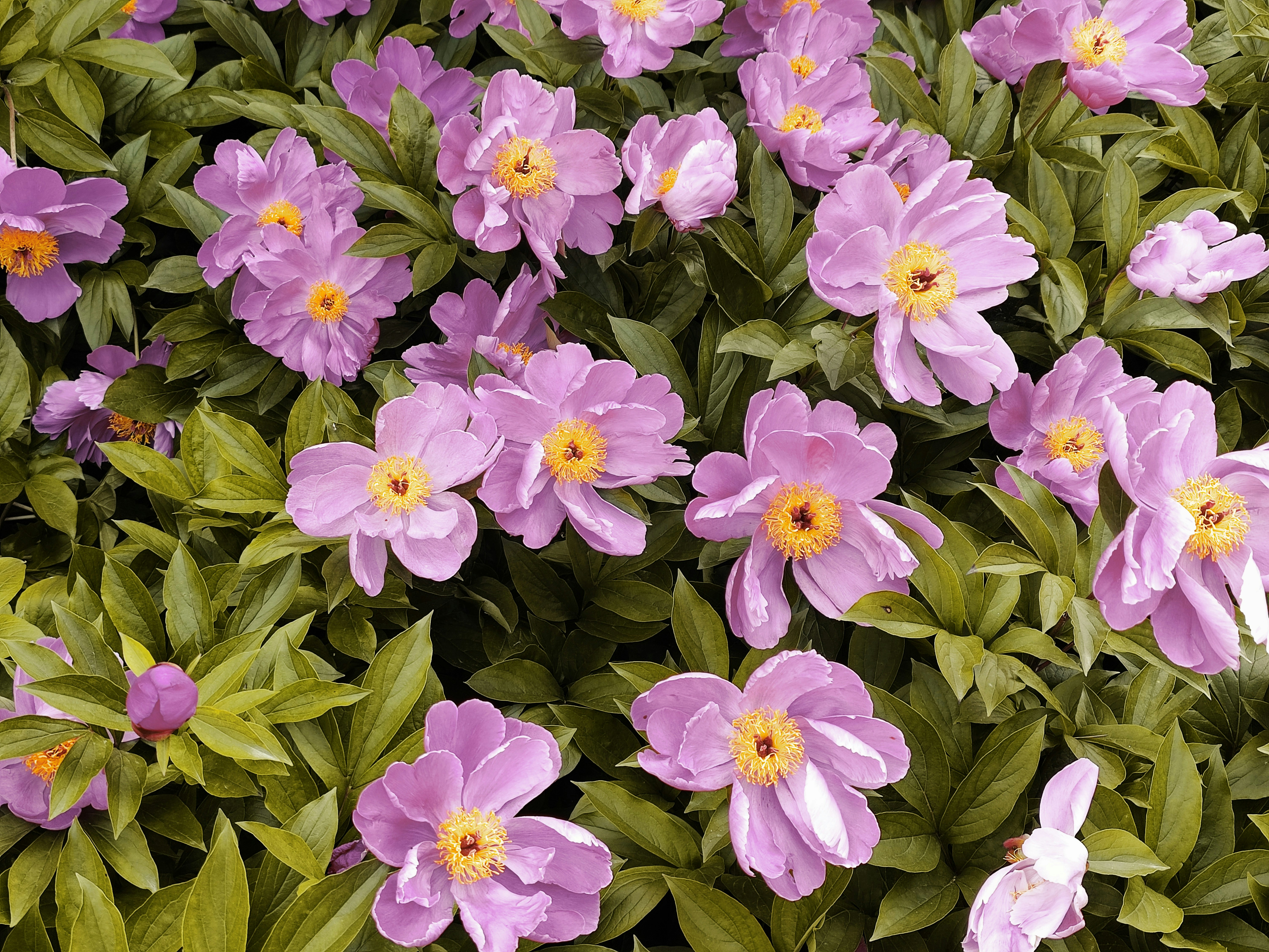 Photo by liuwen5656554