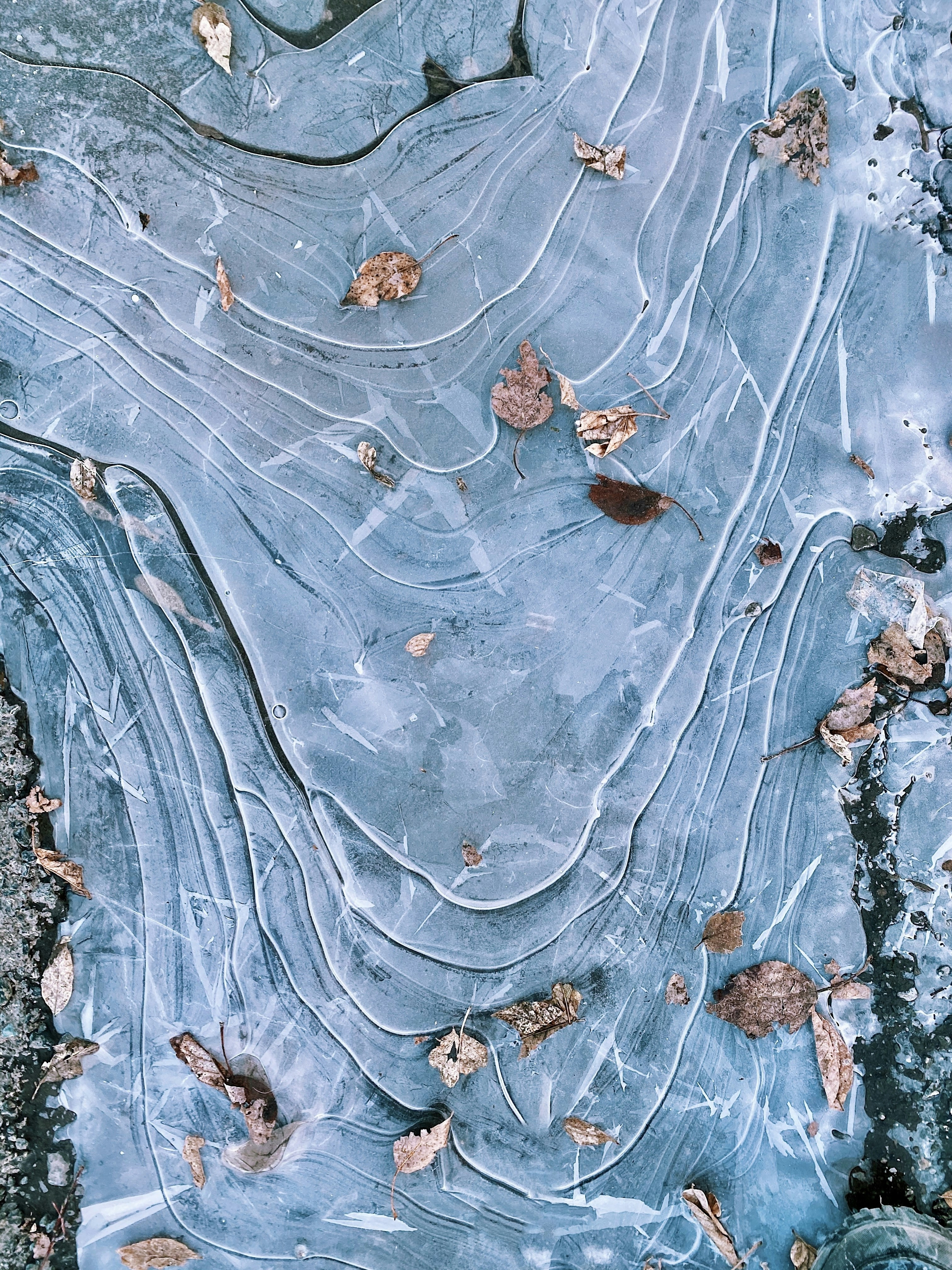 Awakening the Ancients: Laboratory Resurrections (image credits: unsplash)