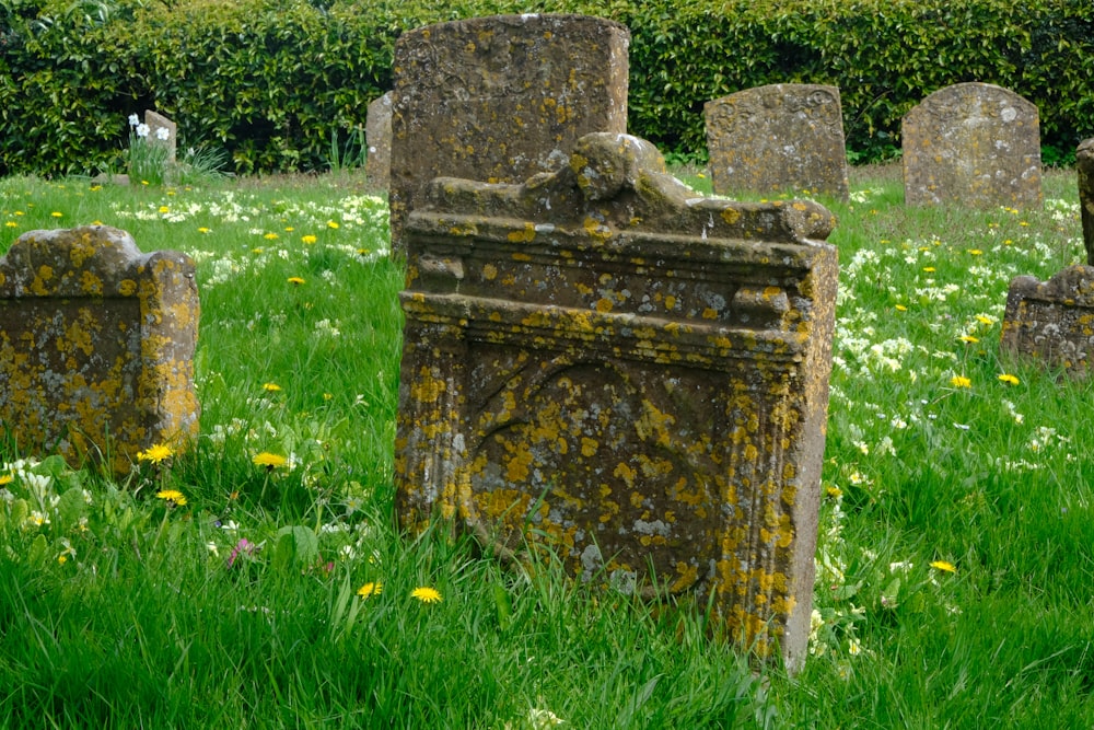 gray concrete tomb on green grass field during daytime