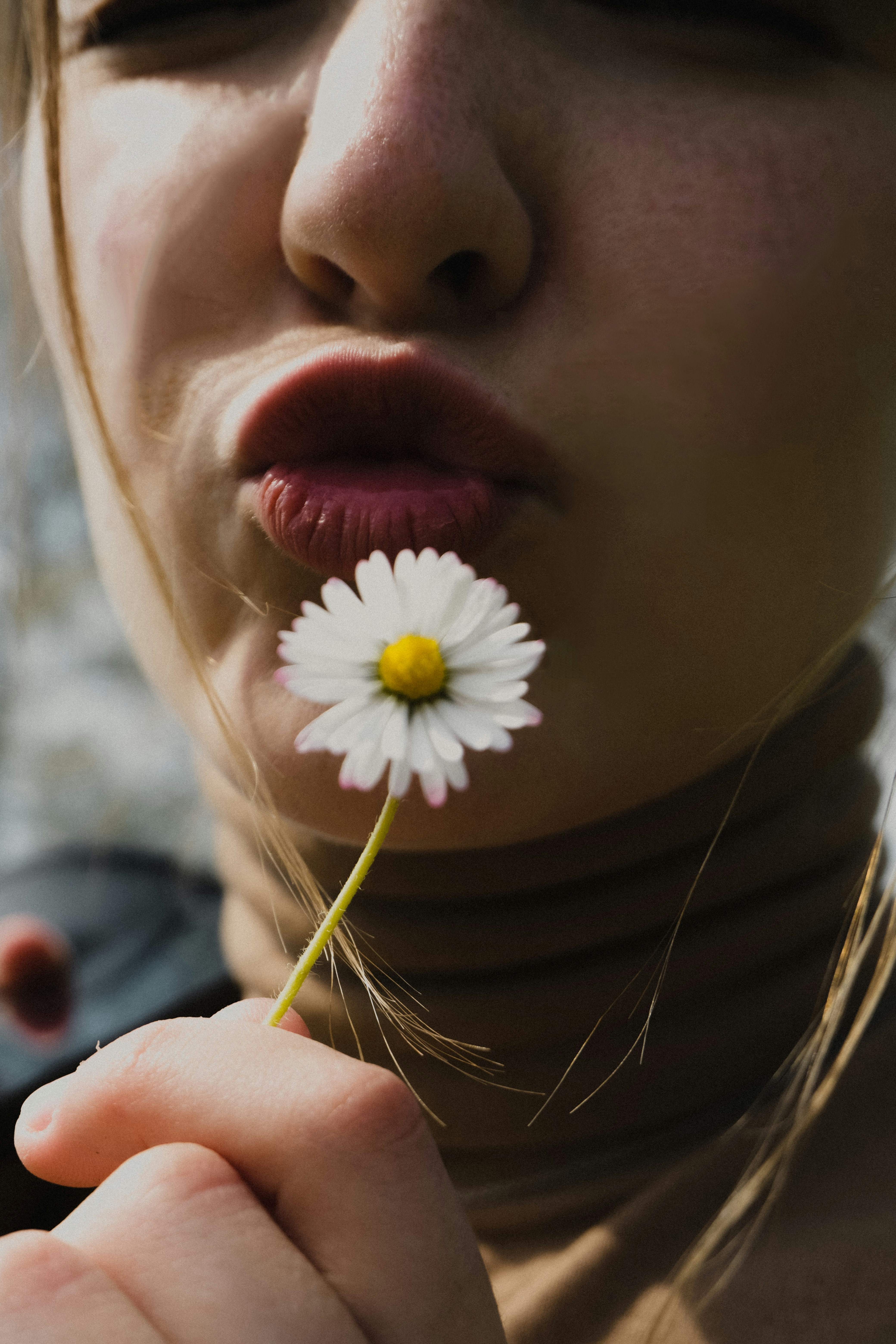 Photo by kmondschein