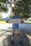 A person stands outside on a paved path, holding a sign with the word 'OVERCOMER' written on it. Sunlight filters through the leaves of a large tree overhead, creating a bright and hopeful atmosphere. The person is wearing a blue shirt and beige shorts.