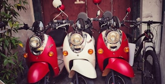 Three scooters are parked side by side, flanked by a bicycle on the far right. The scooters have a vintage style, with two of them painted red and one painted white. They are positioned against a weathered wooden wall with some greenery visible to the left.